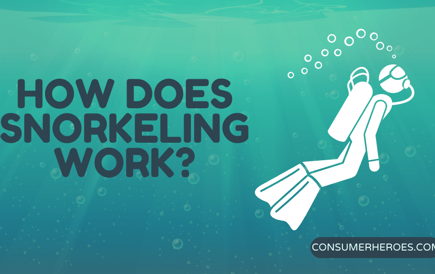 How Does Snorkeling Work