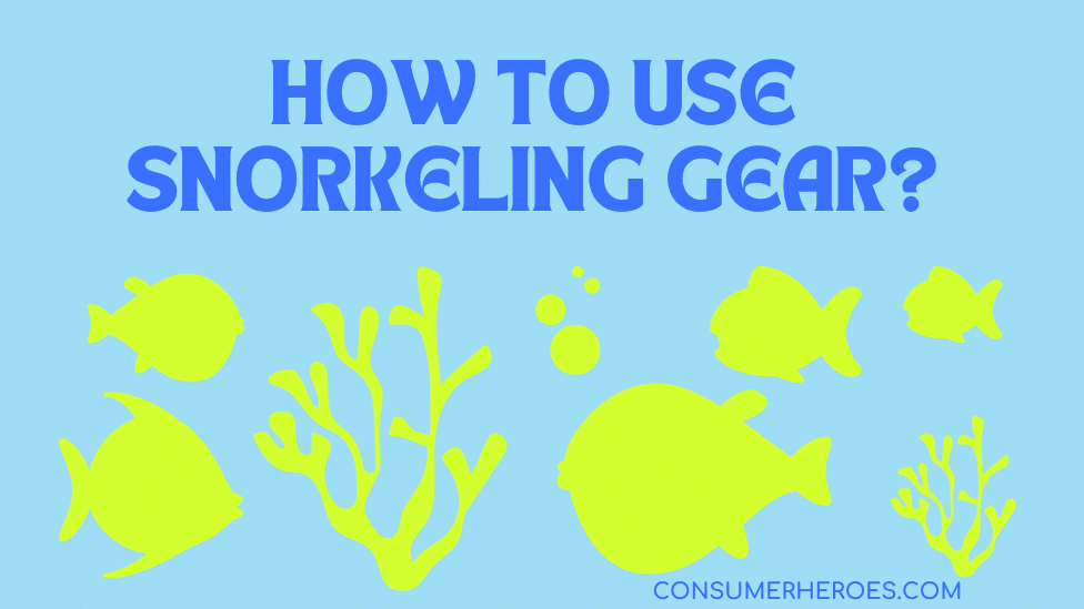 How to Use Snorkeling Gear