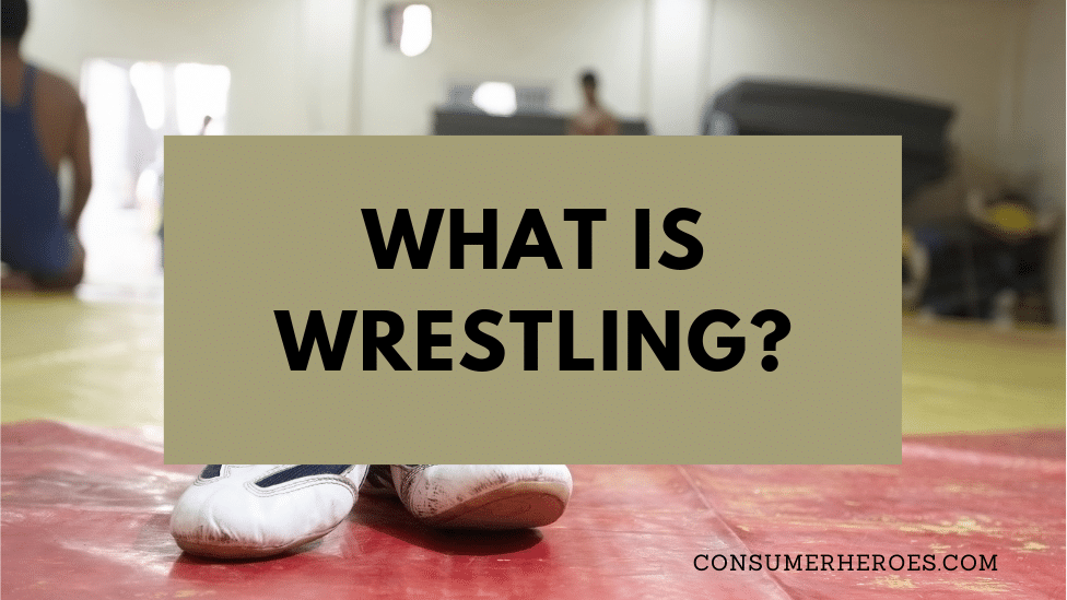 What is Wrestling